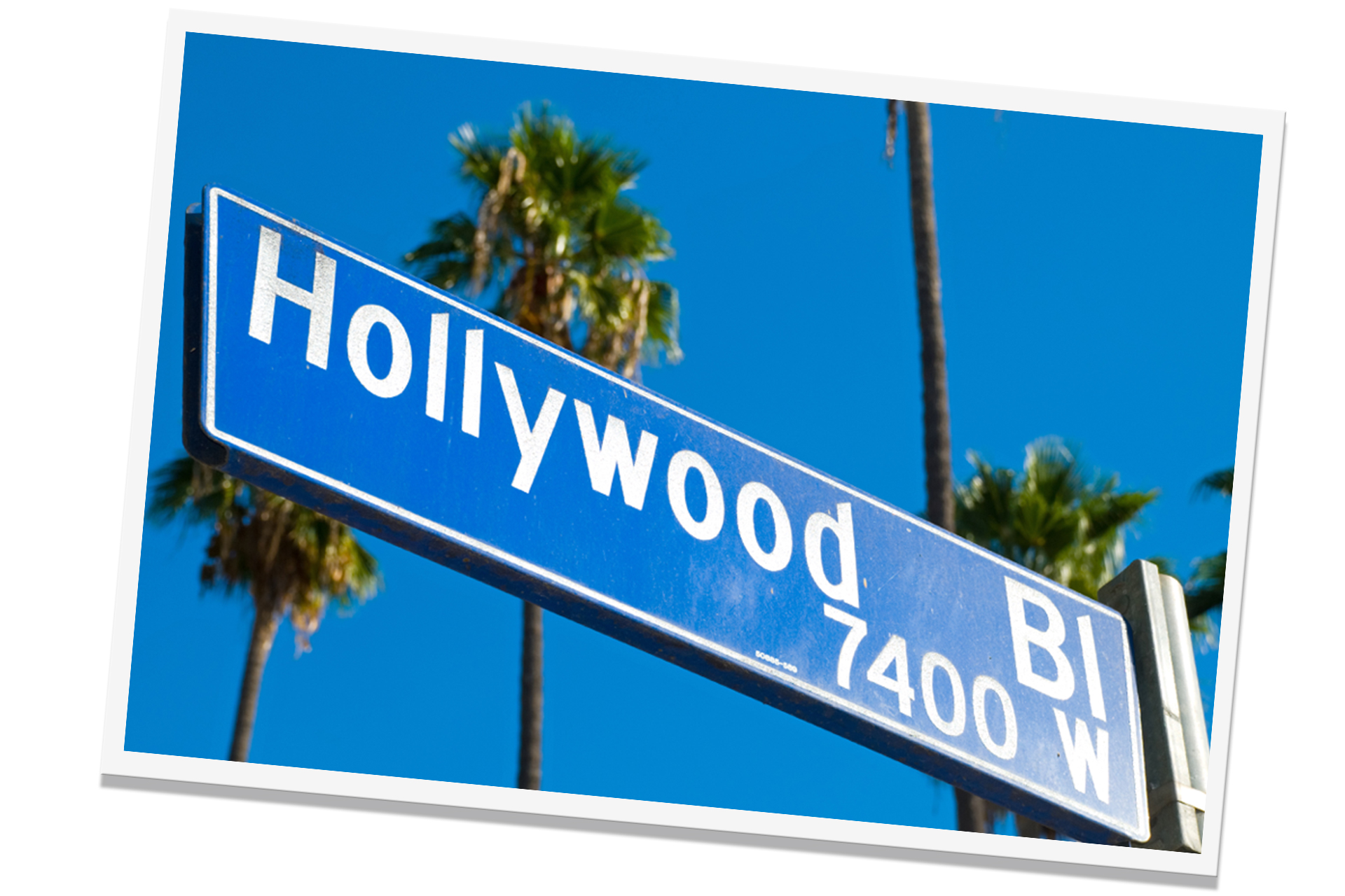 Crazy Trip Los Angeles