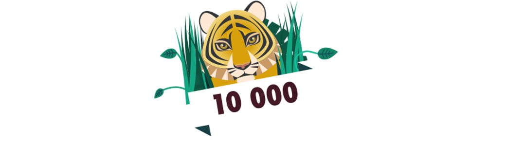 Bingo 10 000 Jungle