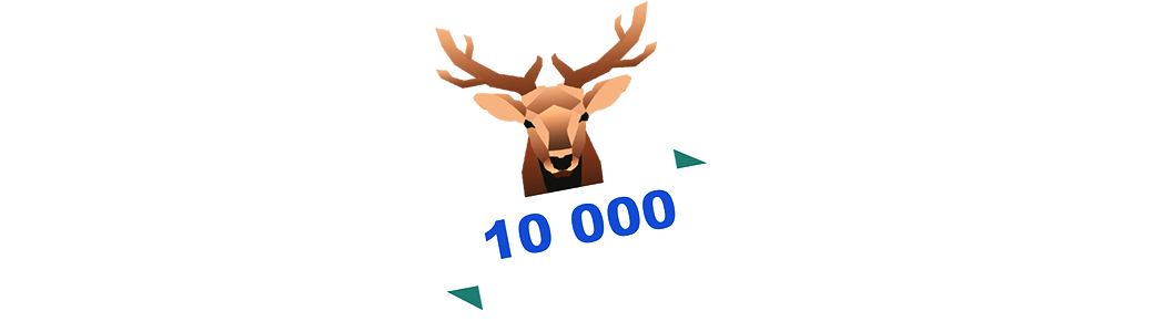 Bingo Live 10 000